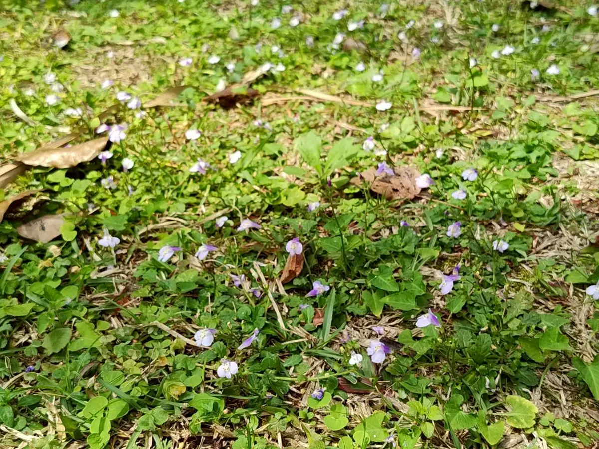 圖片來源:臺北市政府