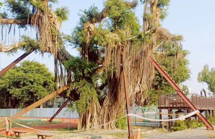 圖片來源:臺南市政府