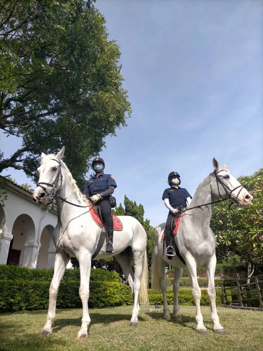 圖片來源:新北市政府