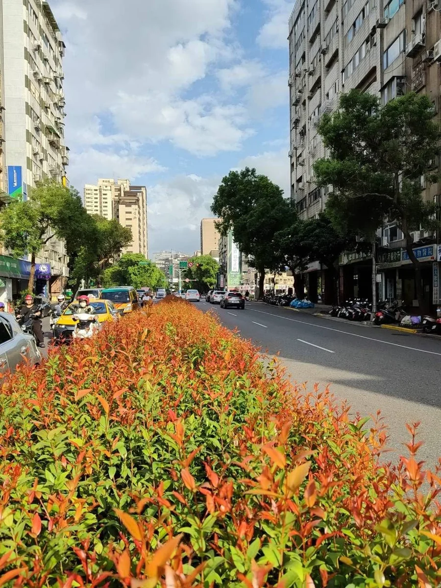 圖片來源:臺北市政府