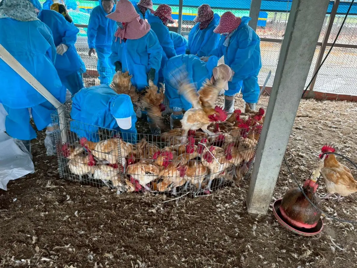 圖片來源:雲林縣政府