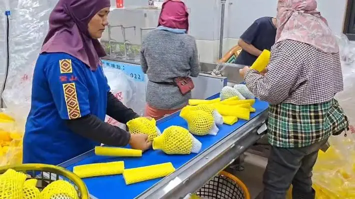 圖片來源：臺東縣警察局