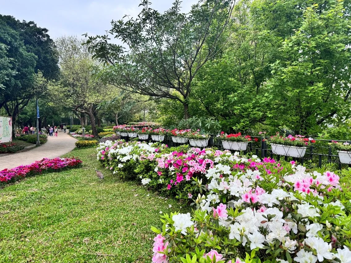 圖片來源:臺北市政府