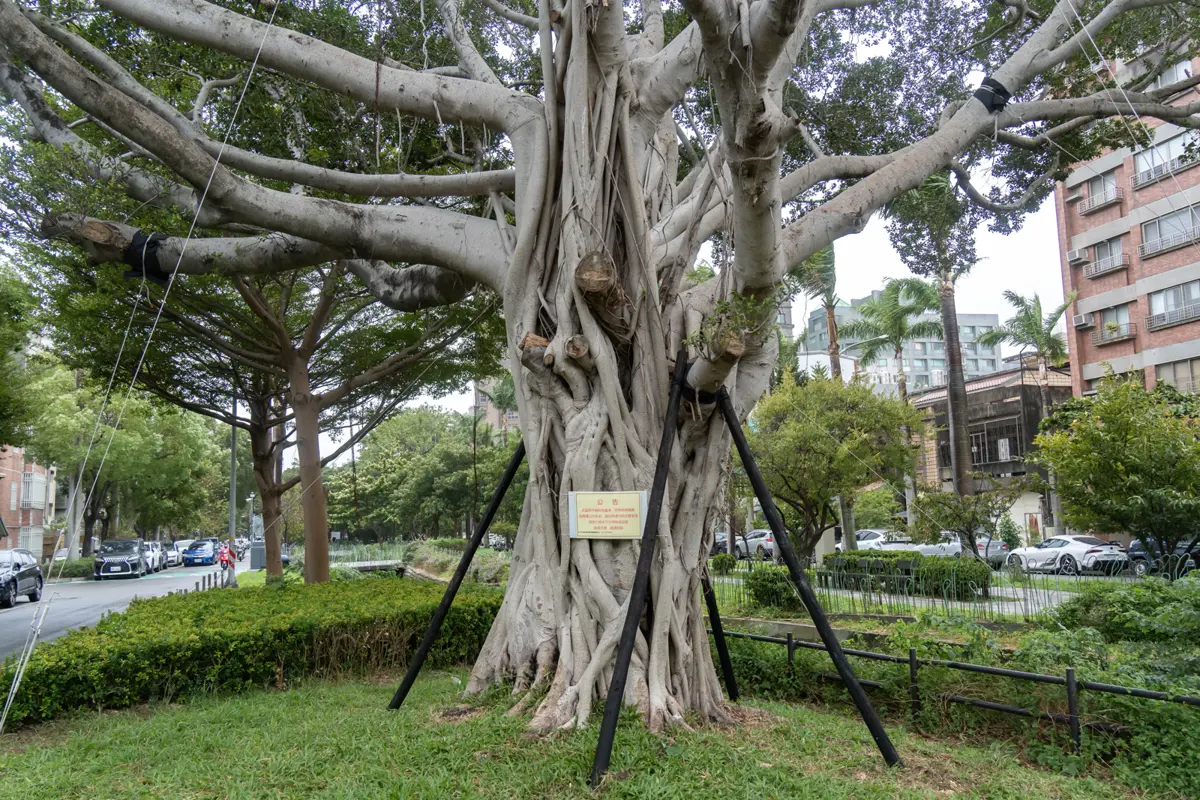 圖片來源:新竹市政府