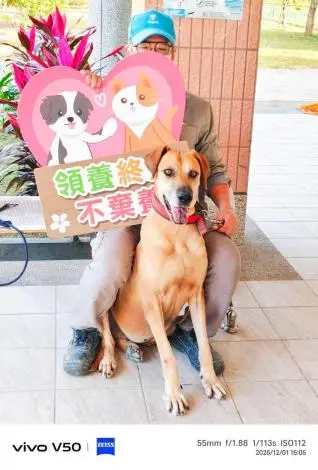 圖片來源:苗栗縣政府