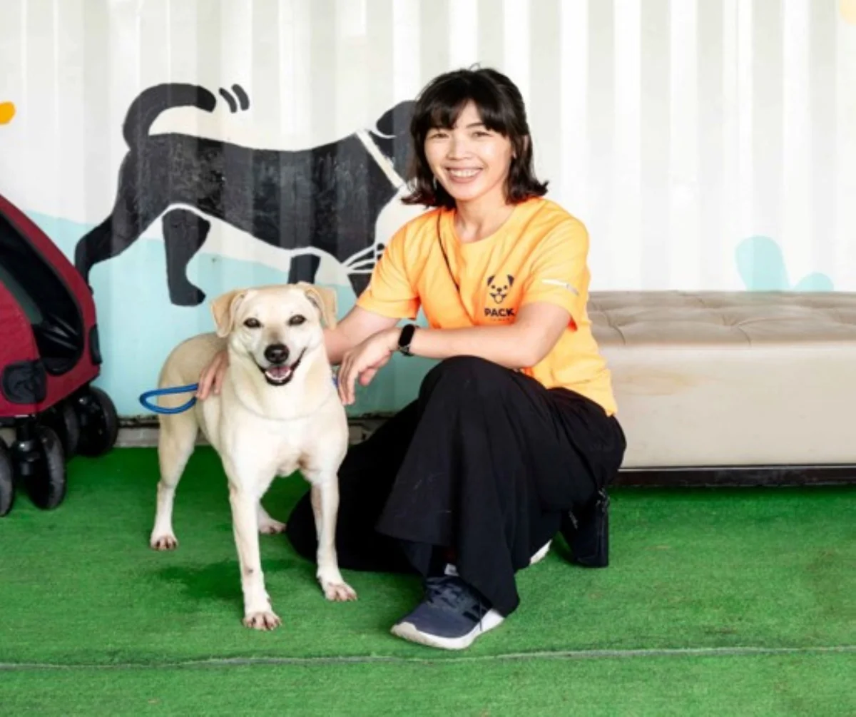 林口遊蕩犬源頭管理大公開!嘉瑞社區逐戶清查,成功安置6隻無主浪浪