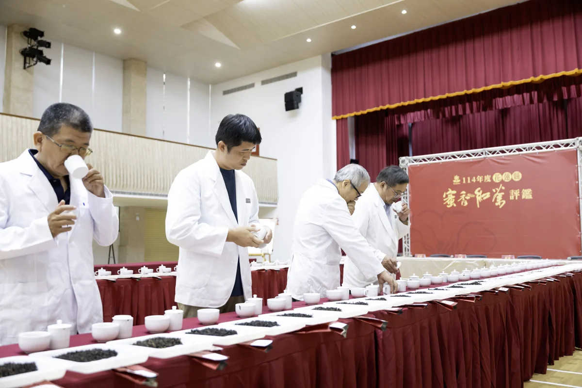 2026花蓮蜜香紅茶評鑑7/27登場!尋找年度最頂級天然蜜香好茶