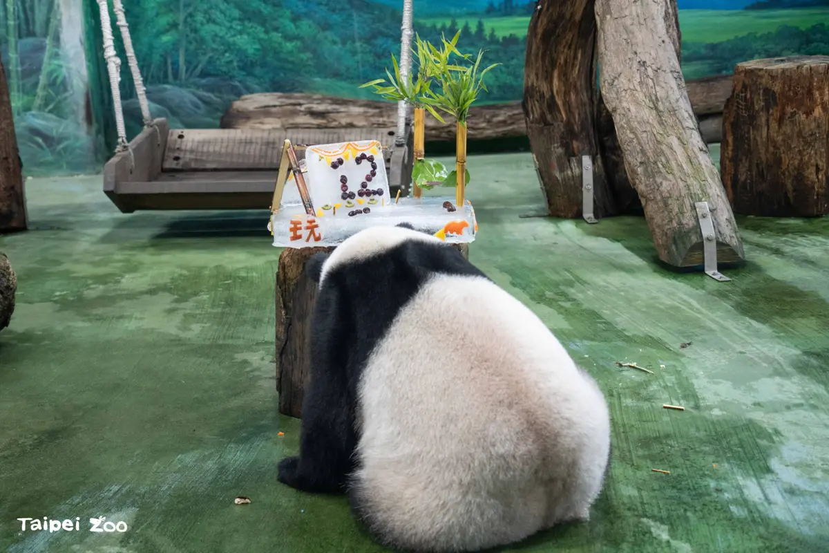 圖片來源:臺北市政府