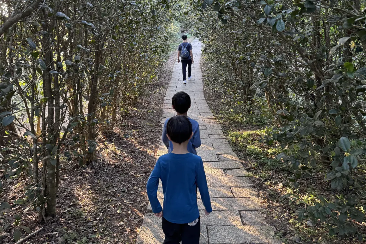 圖片來源:新竹縣政府