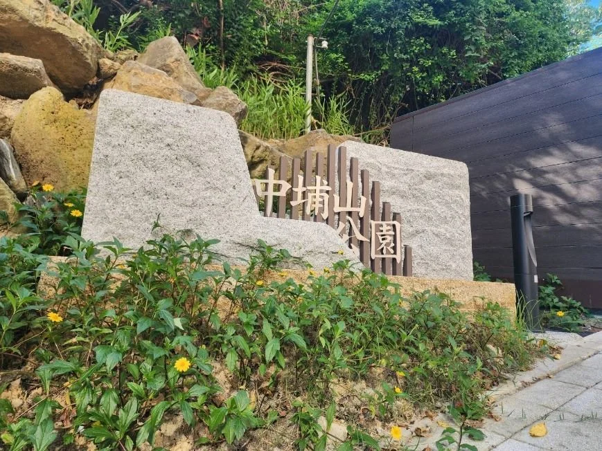 捷運出站10分鐘即達!文山區「中埔山公園」正式開放 打造城南絕美山林秘境