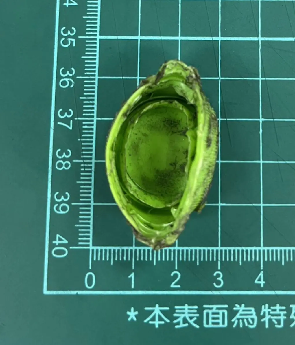 瓶蓋卡門 板南線善導寺站列車暫停