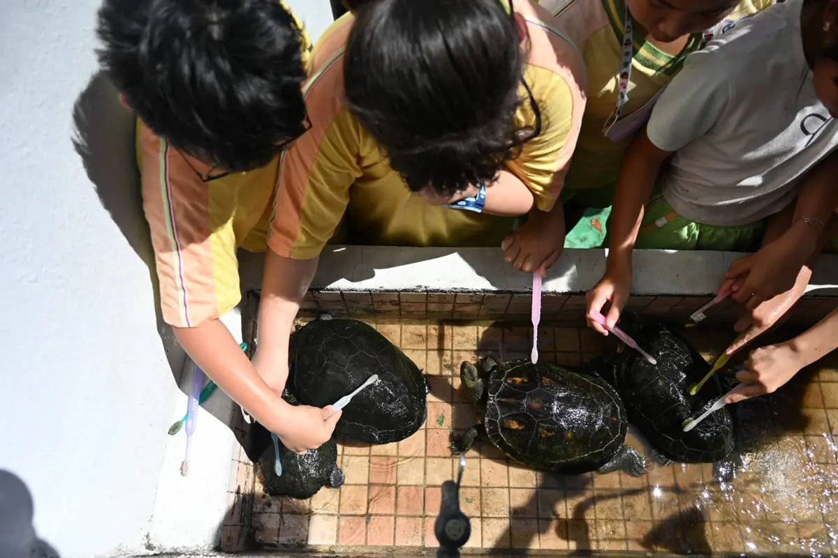 圖片來源:臺北市政府