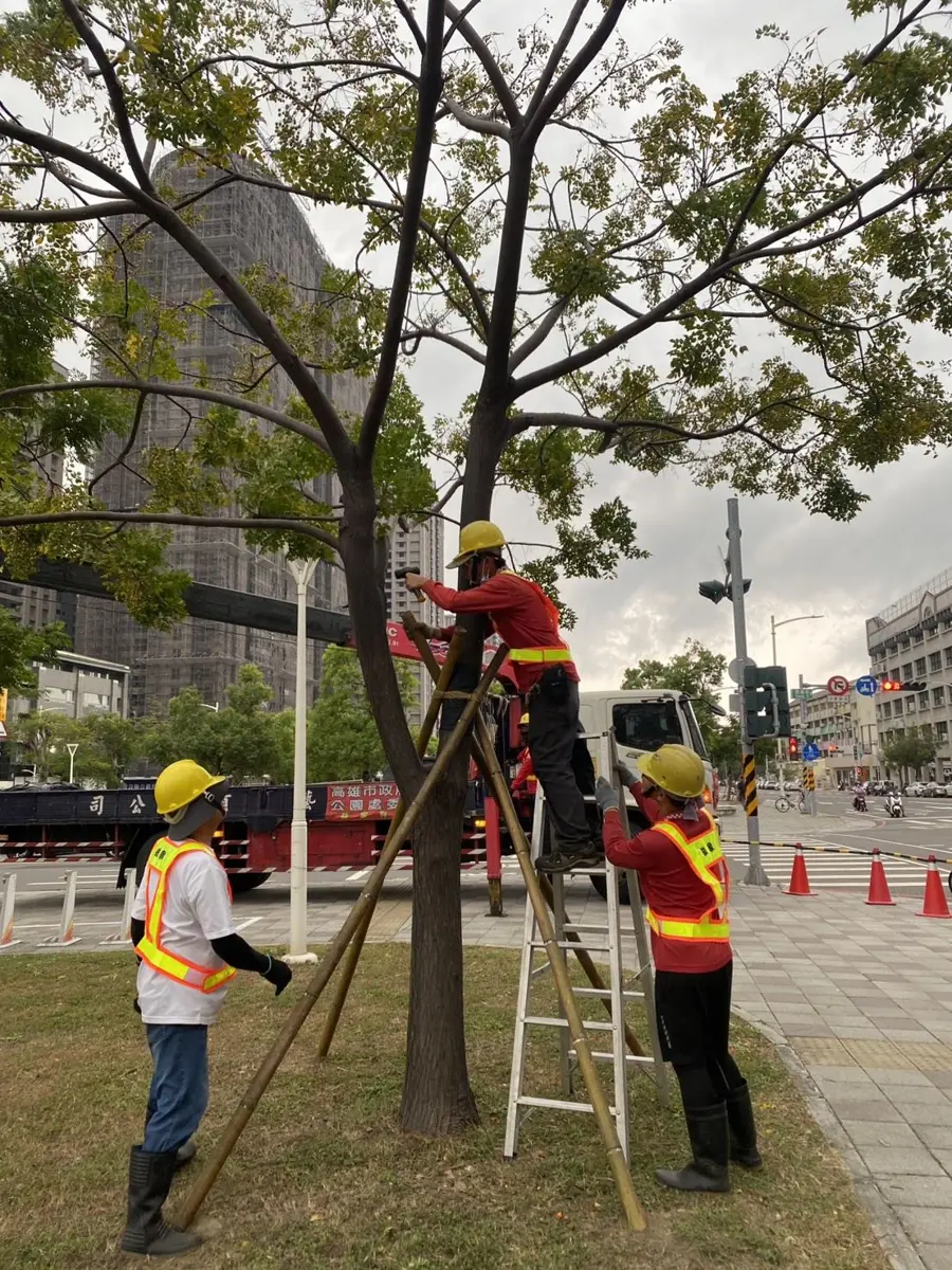圖片來源:高雄市政府