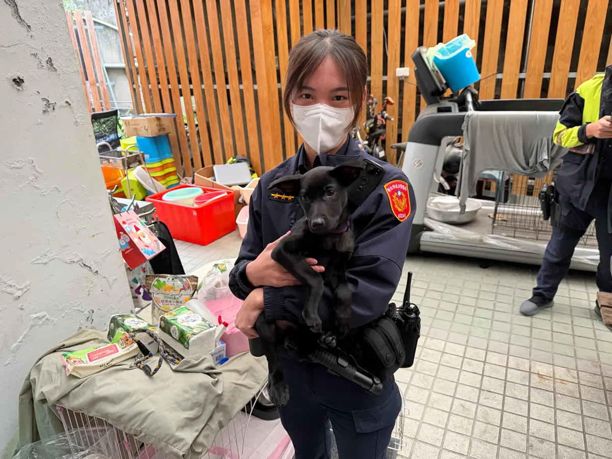 圖片來源:新北市政府