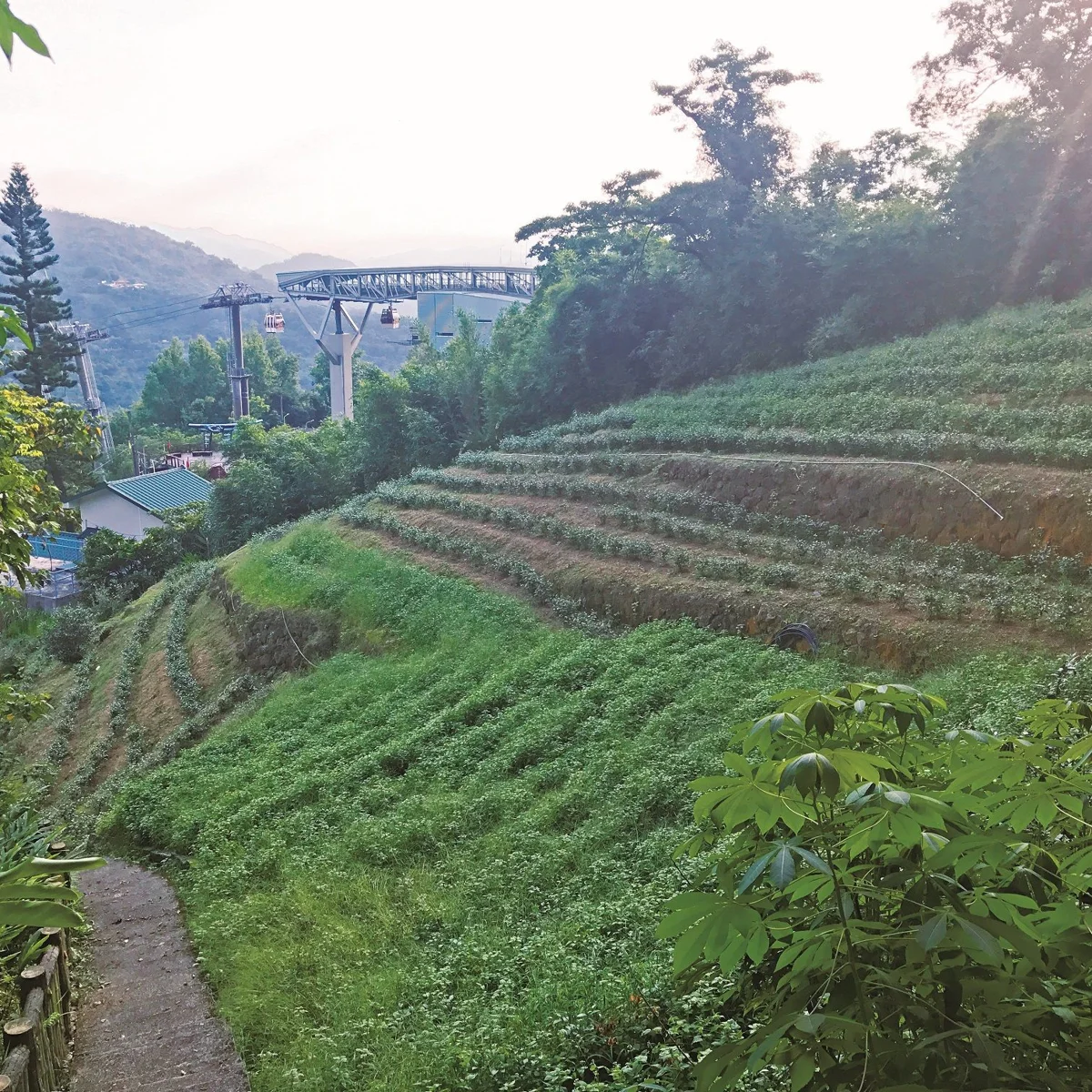 圖片來源:臺北市政府