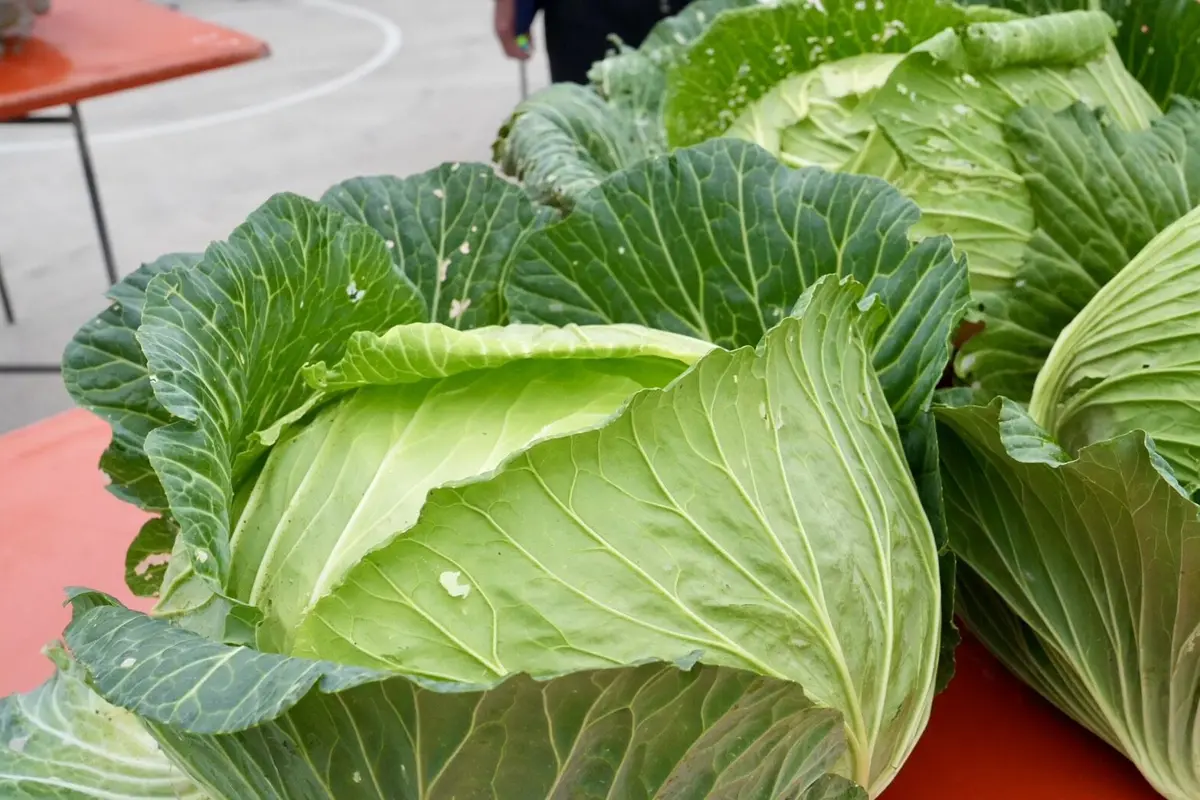 圖片來源:澎湖縣政府