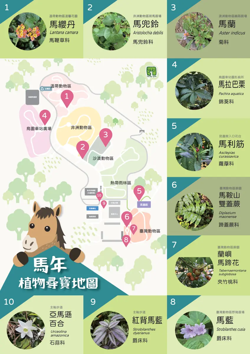圖片來源:臺北市政府