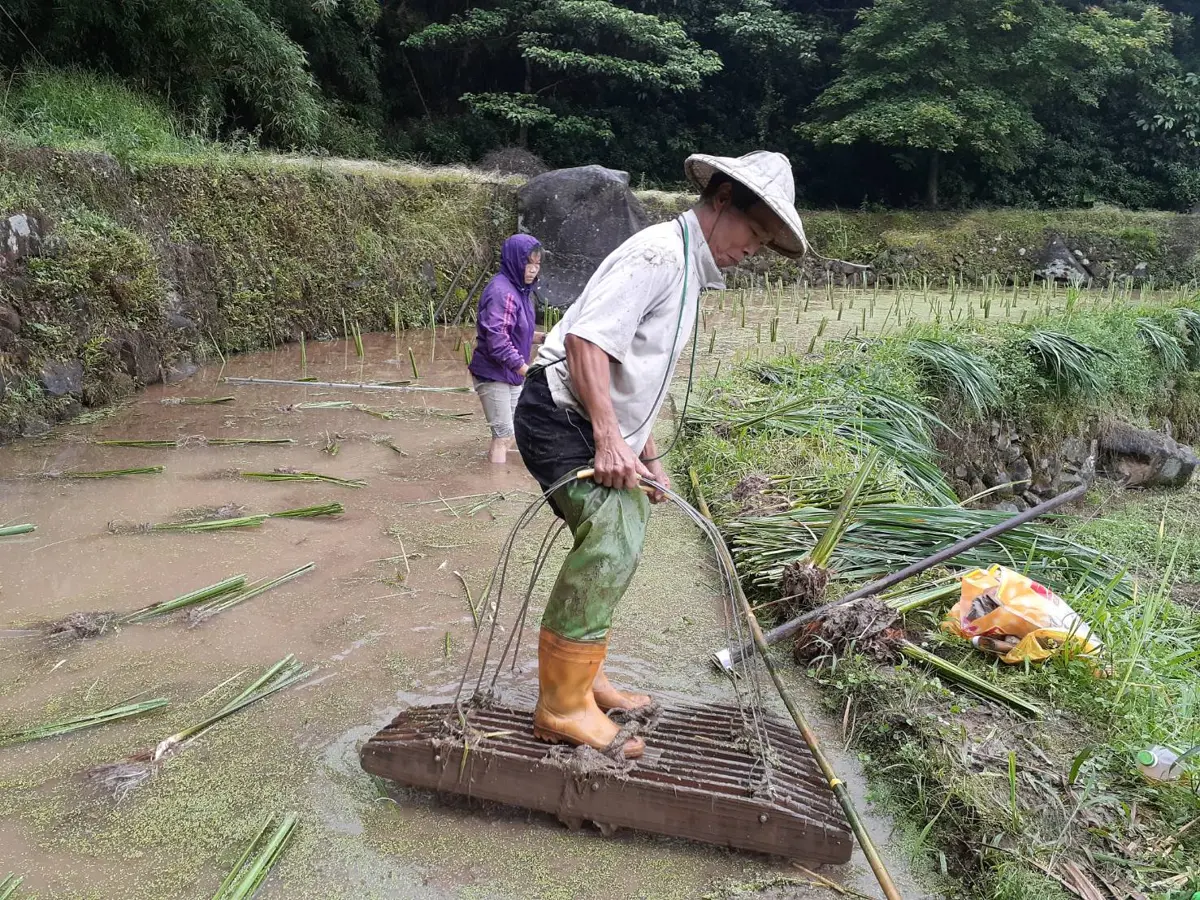 新北市農友熱衷「世界蛇日」生態保育