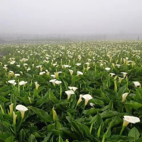 圖片來源:臺北市政府