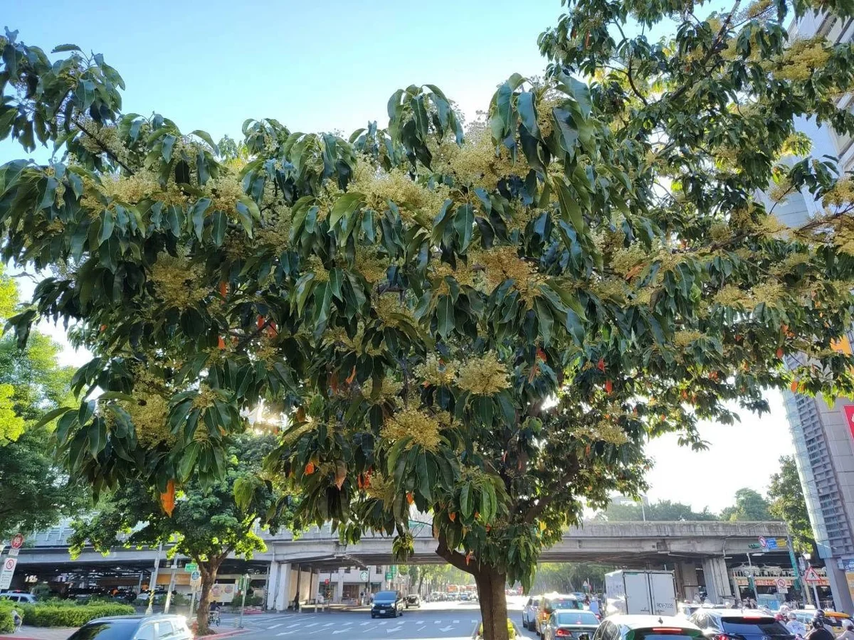 圖片來源:臺北市政府