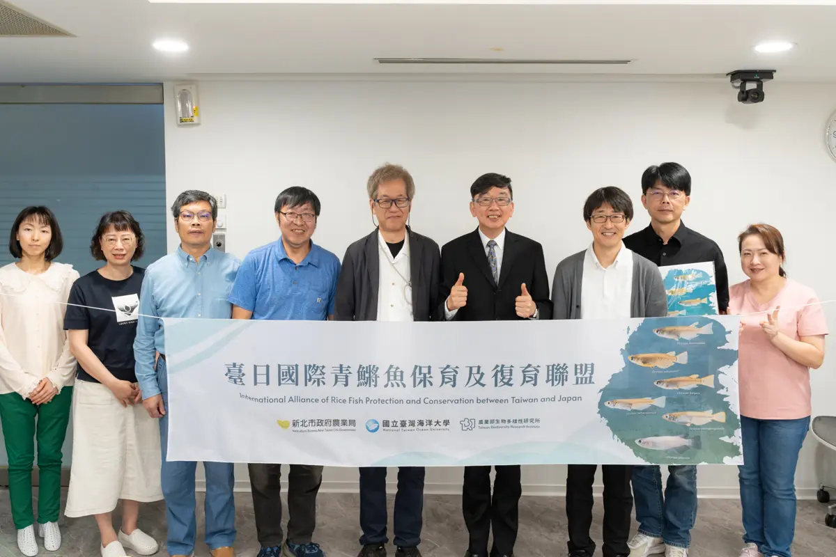 圖片來源:新北市政府