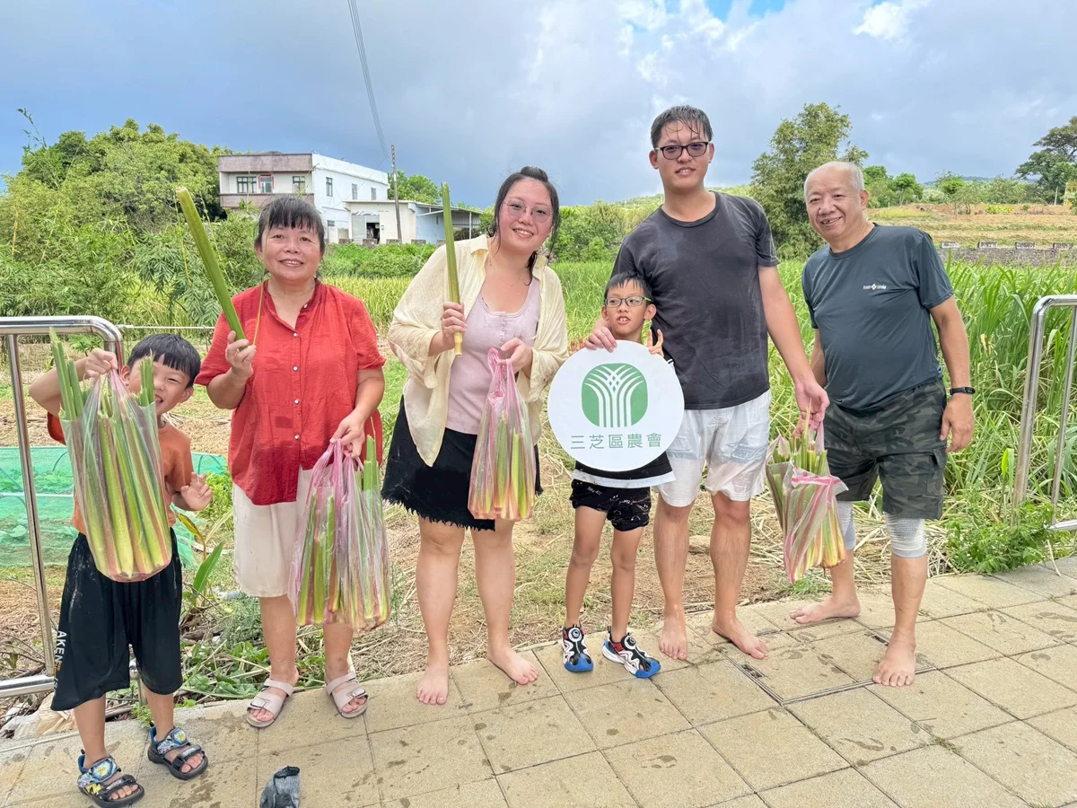【三芝茭白筍季】秋季限定小旅行!親自下田採筍、做泡菜,體驗在地農村生活