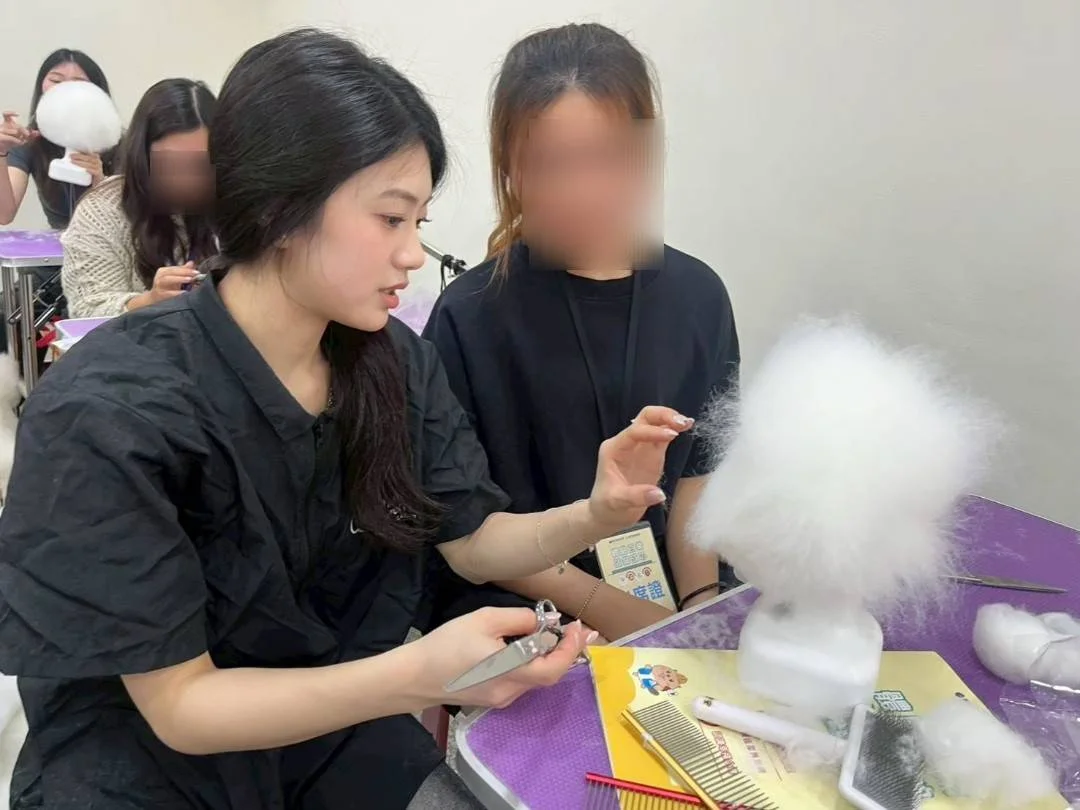 圖片來源:臺中市政府
