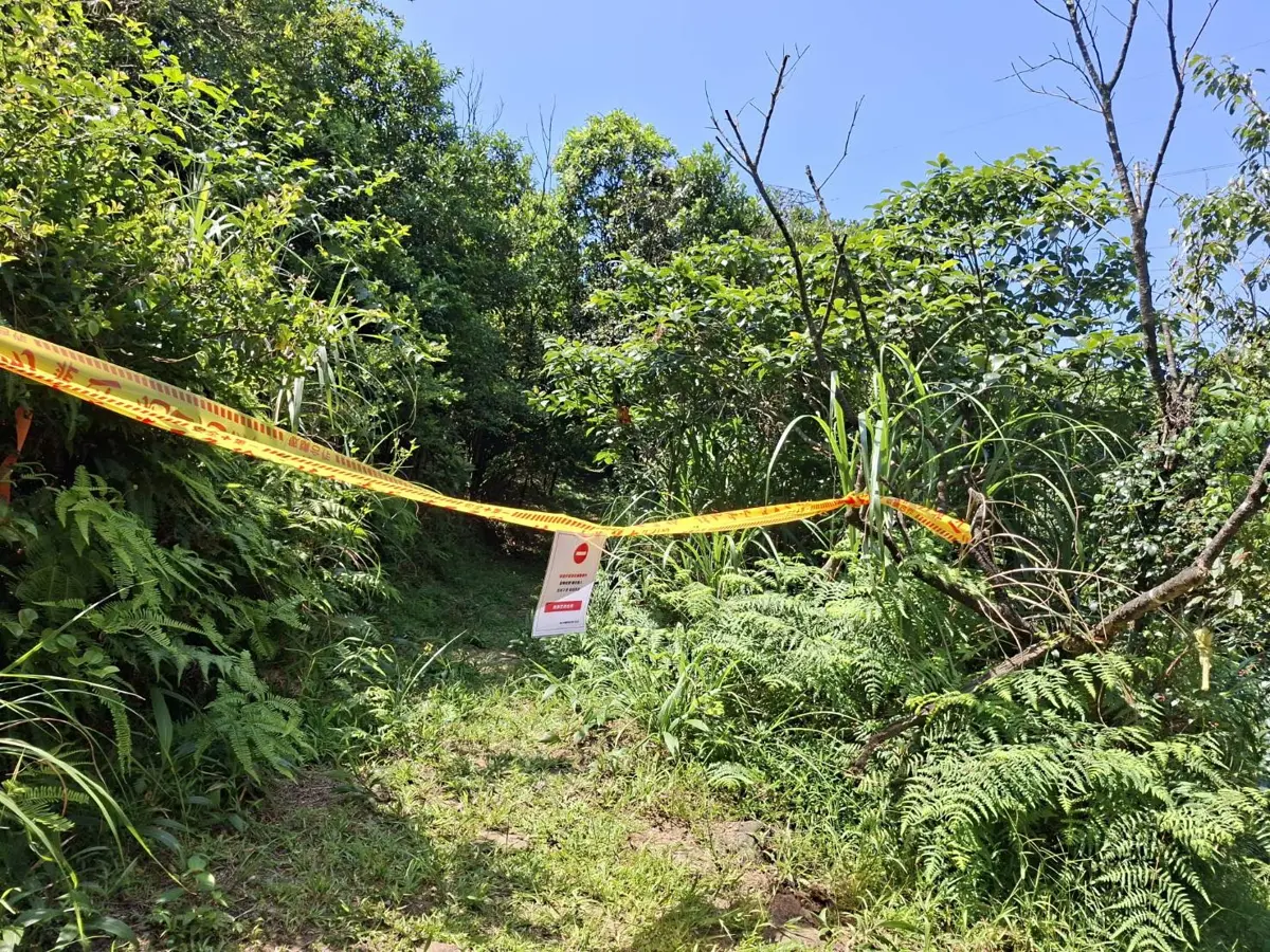 瑞芳3步道爆虎頭蜂螫傷人!區公所急封閉 蝙蝠洞公園因應「米克拉」強颱關閉