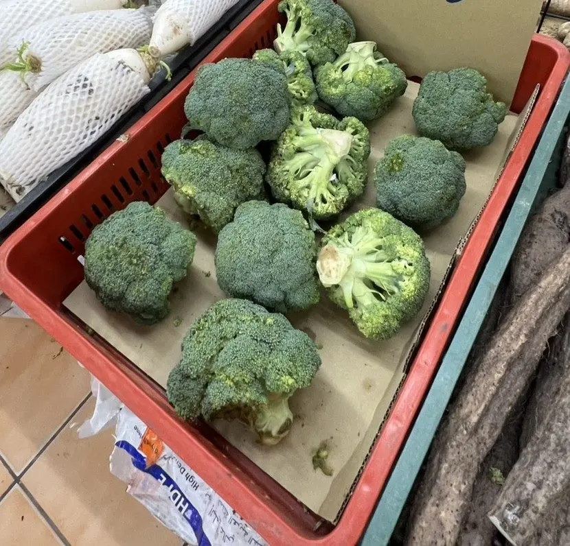 圖片來源:臺北市政府