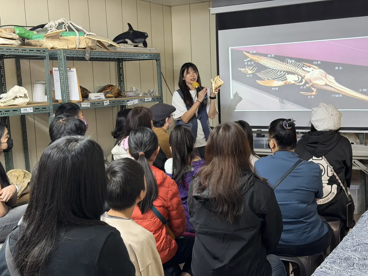 圖片來源:新北市政府