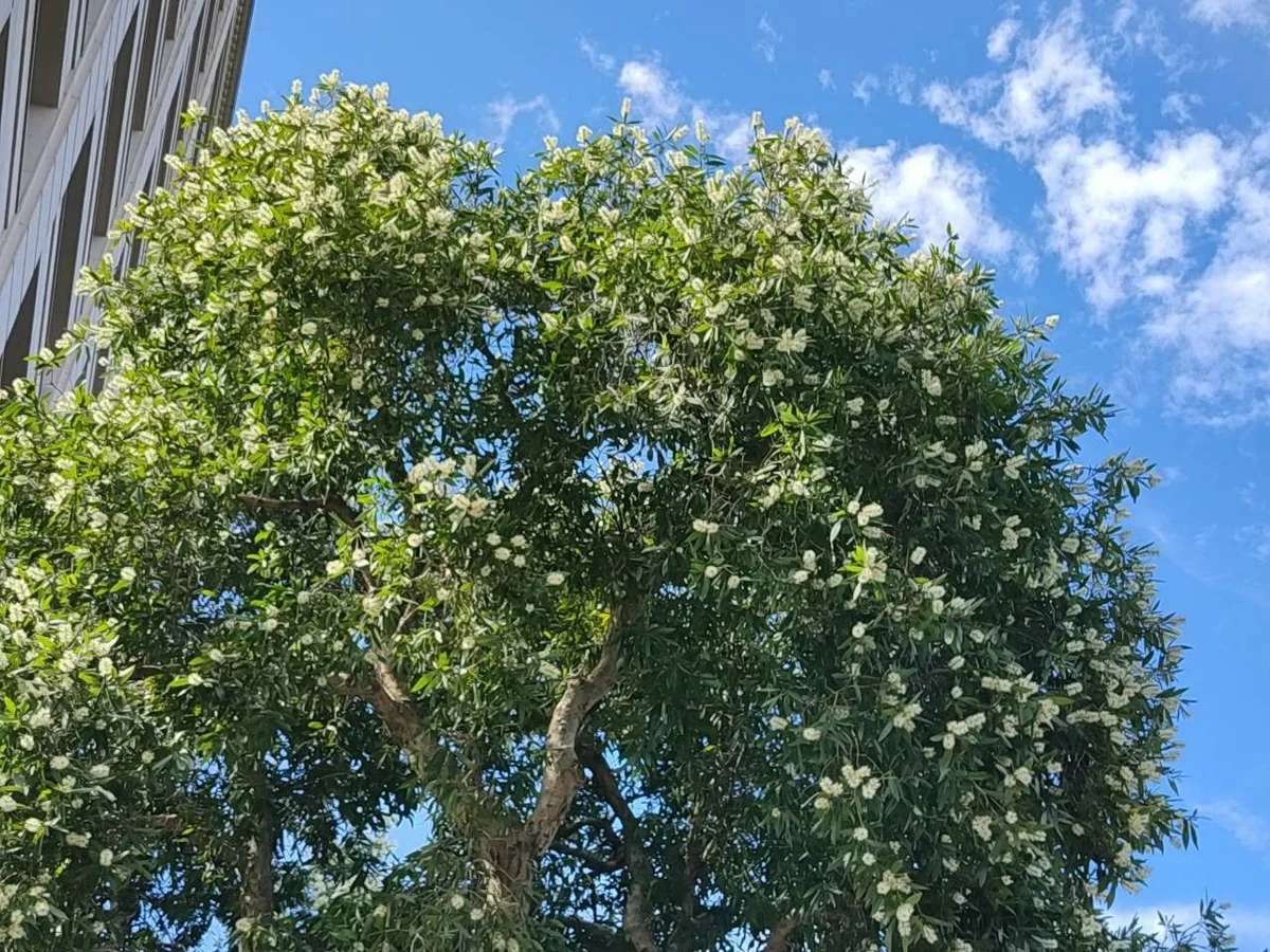 圖片來源:臺北市政府