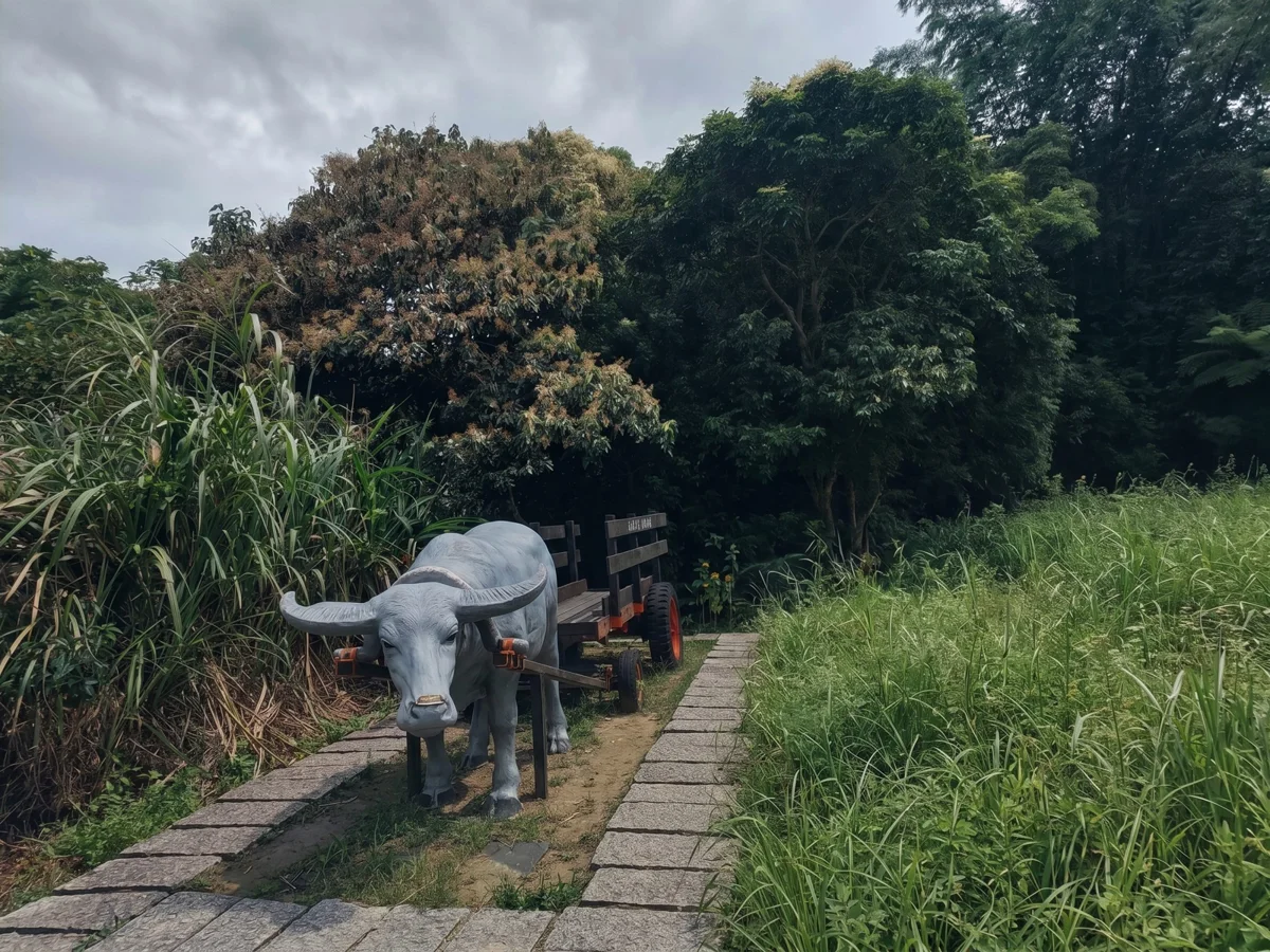 圖片來源：臺北市政府