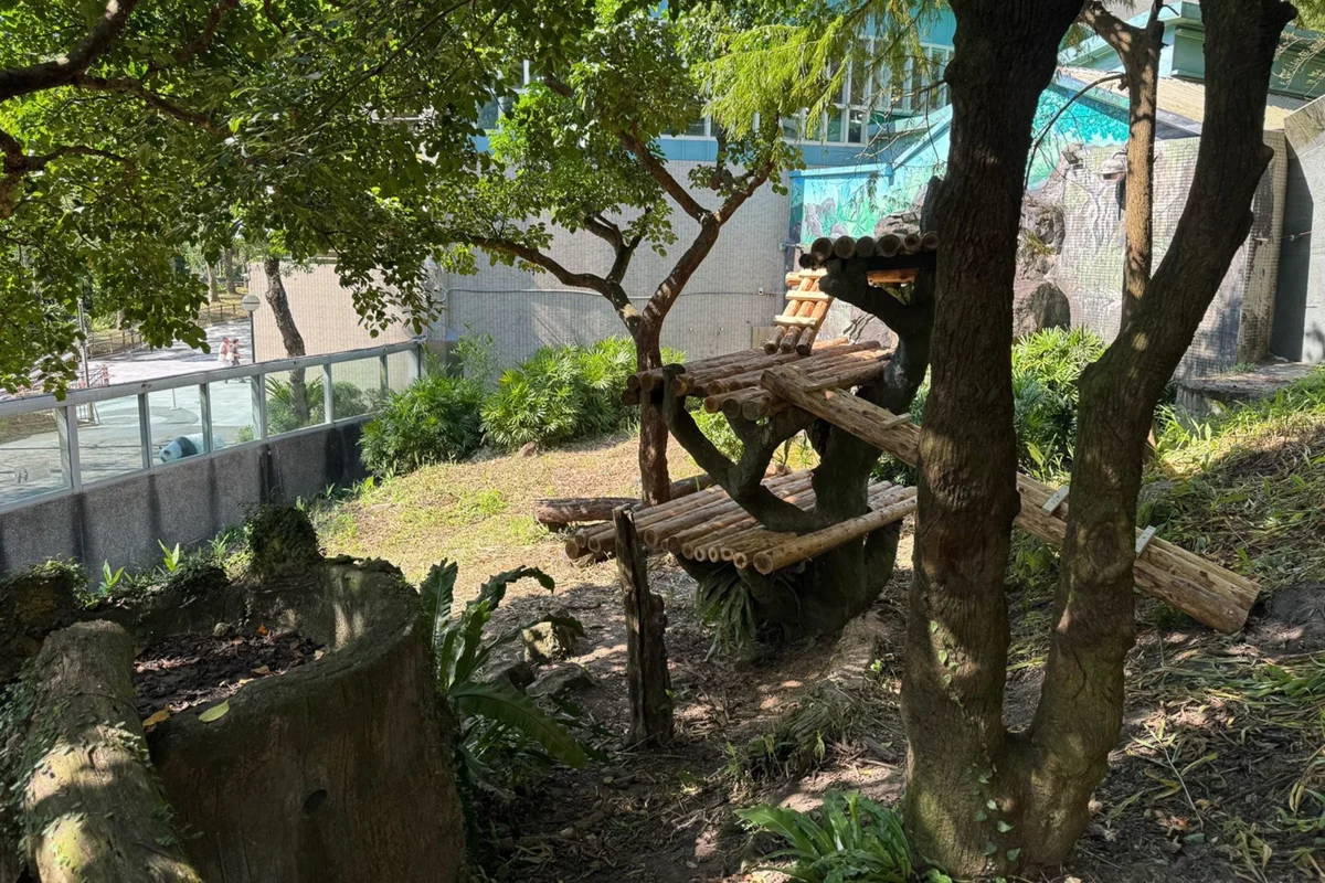 圖片來源：臺北市政府
