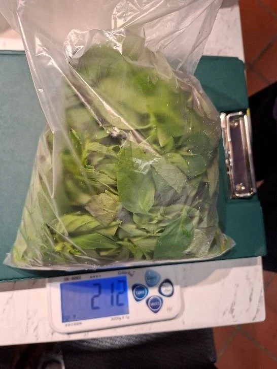 圖片來源：臺北市政府