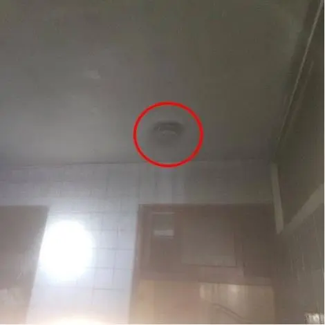 圖片來源:苗栗縣政府