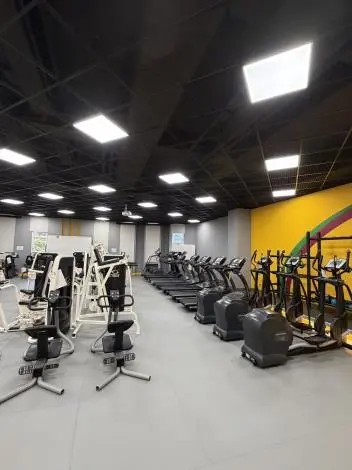 圖片來源：臺南市政府