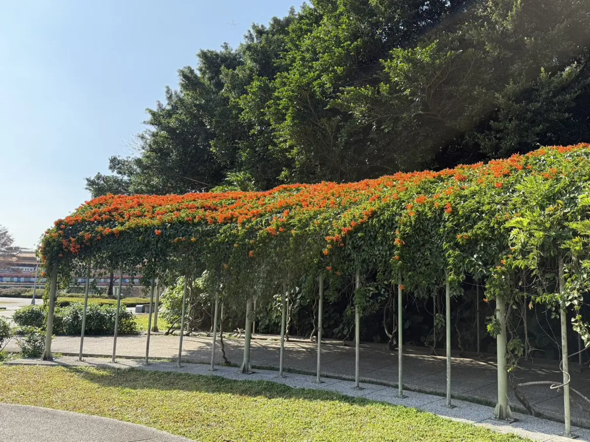 圖片來源:臺北市政府