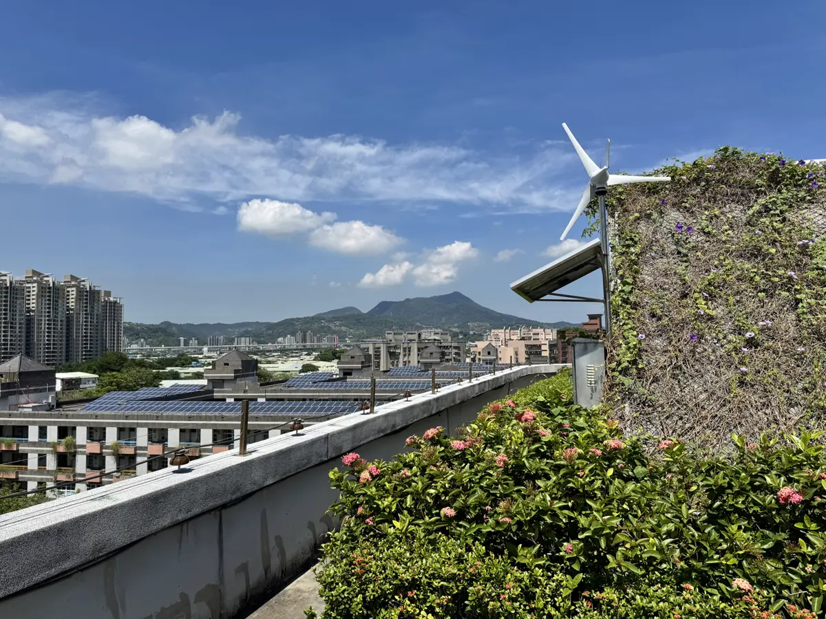 圖片來源：新北市政府