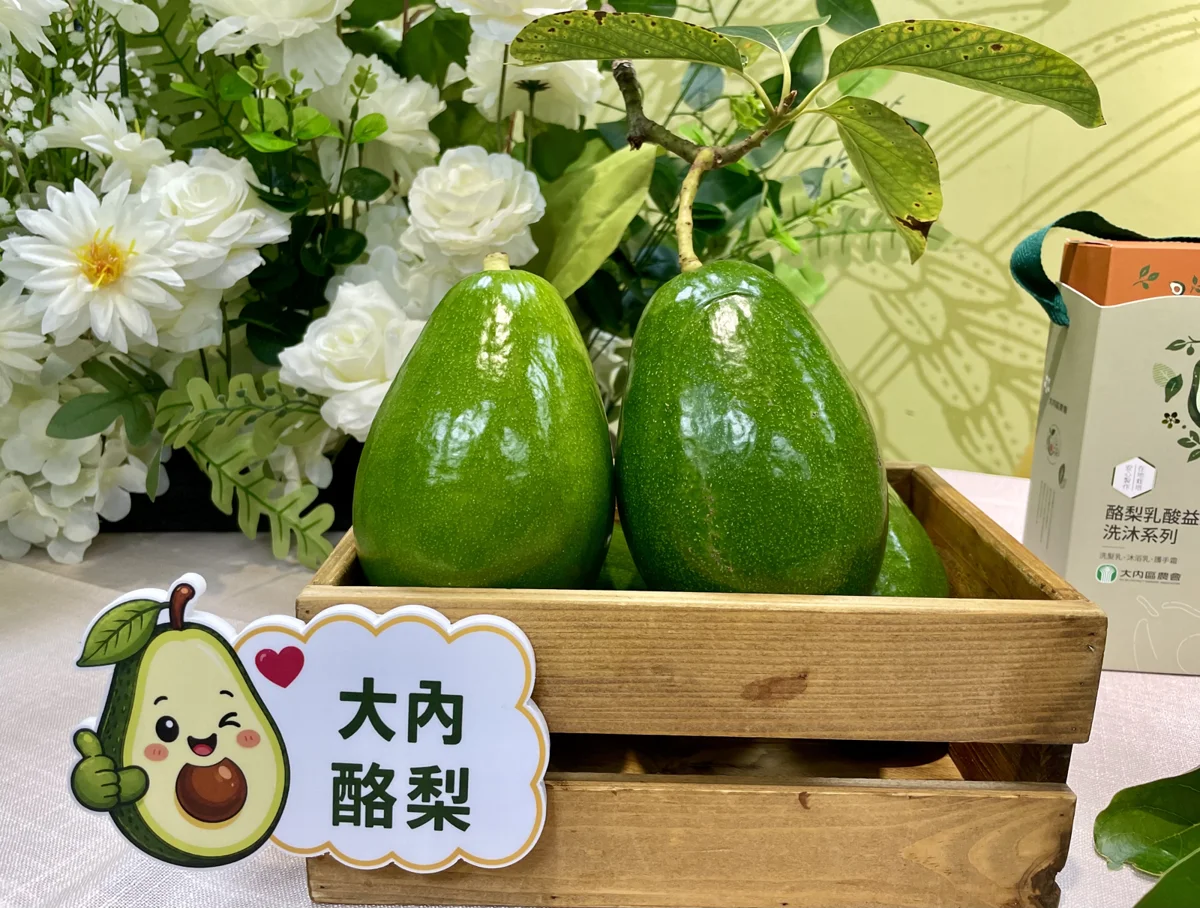 圖片來源:臺南市政府