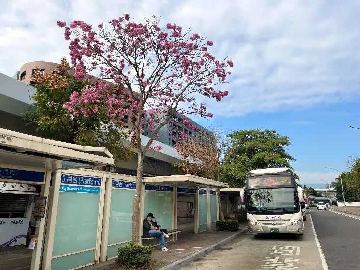 圖片來源:臺北市政府