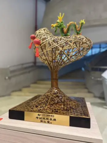 臺南之光!全運會狂掃28金再創隊史紀錄 勇奪考試院院長獎