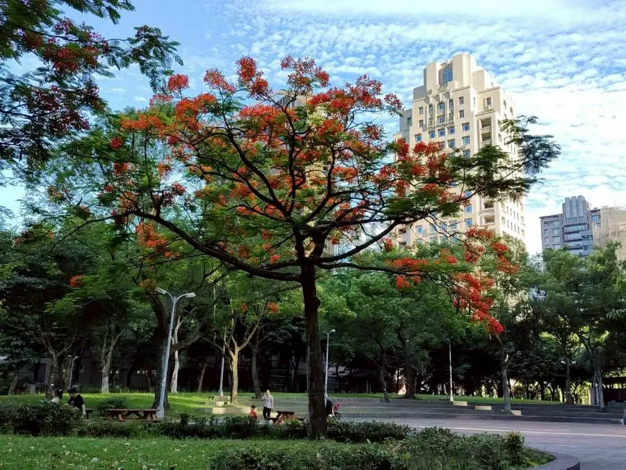圖片來源:臺北市政府