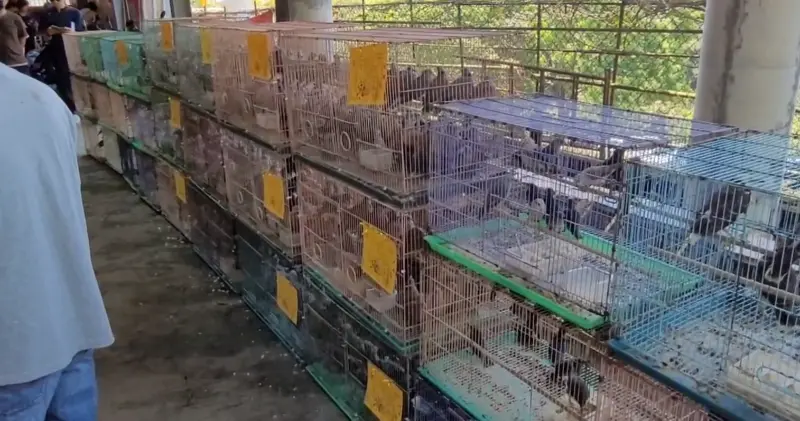 圖片來源：新北市政府