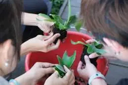 圖片來源:雲林縣政府