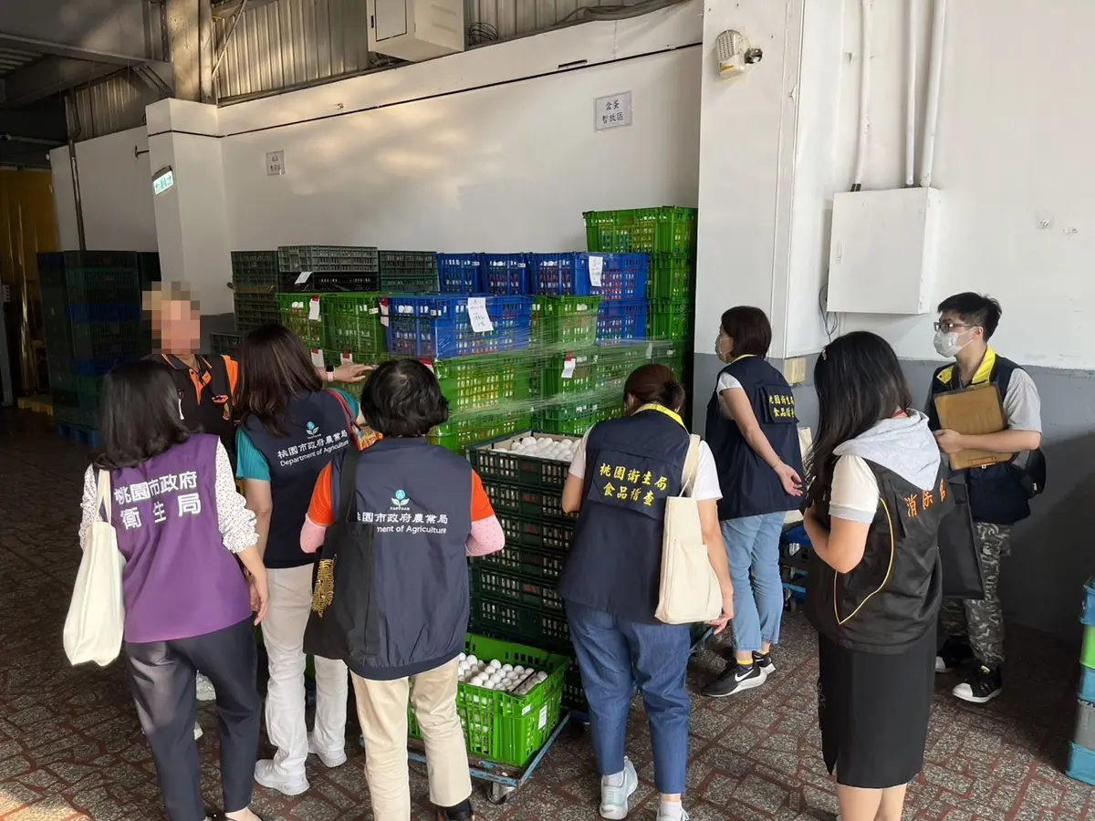 桃園查核進口雞蛋,發現逾149萬顆即期蛋
