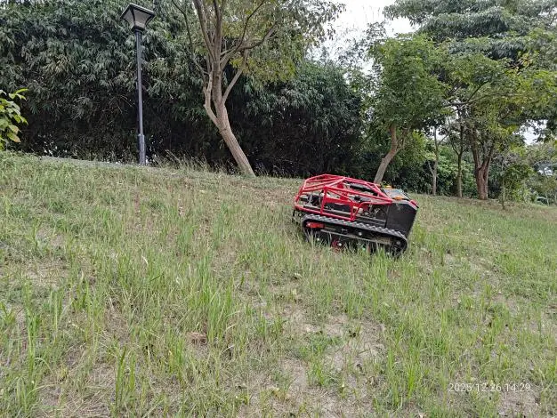 圖片來源:臺南市政府