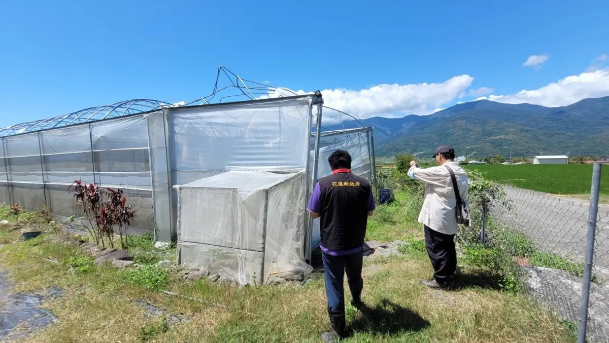 凱米颱風將影響花蓮 農民有哪些需注意甚麼防颱措施?花蓮縣政府籲請農友注意自身