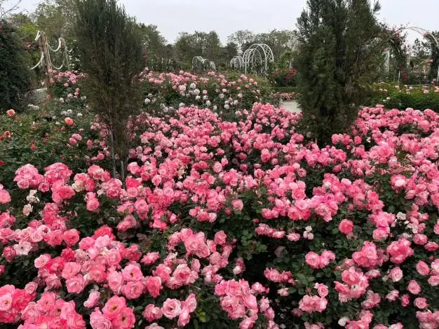 圖片來源:臺南市政府