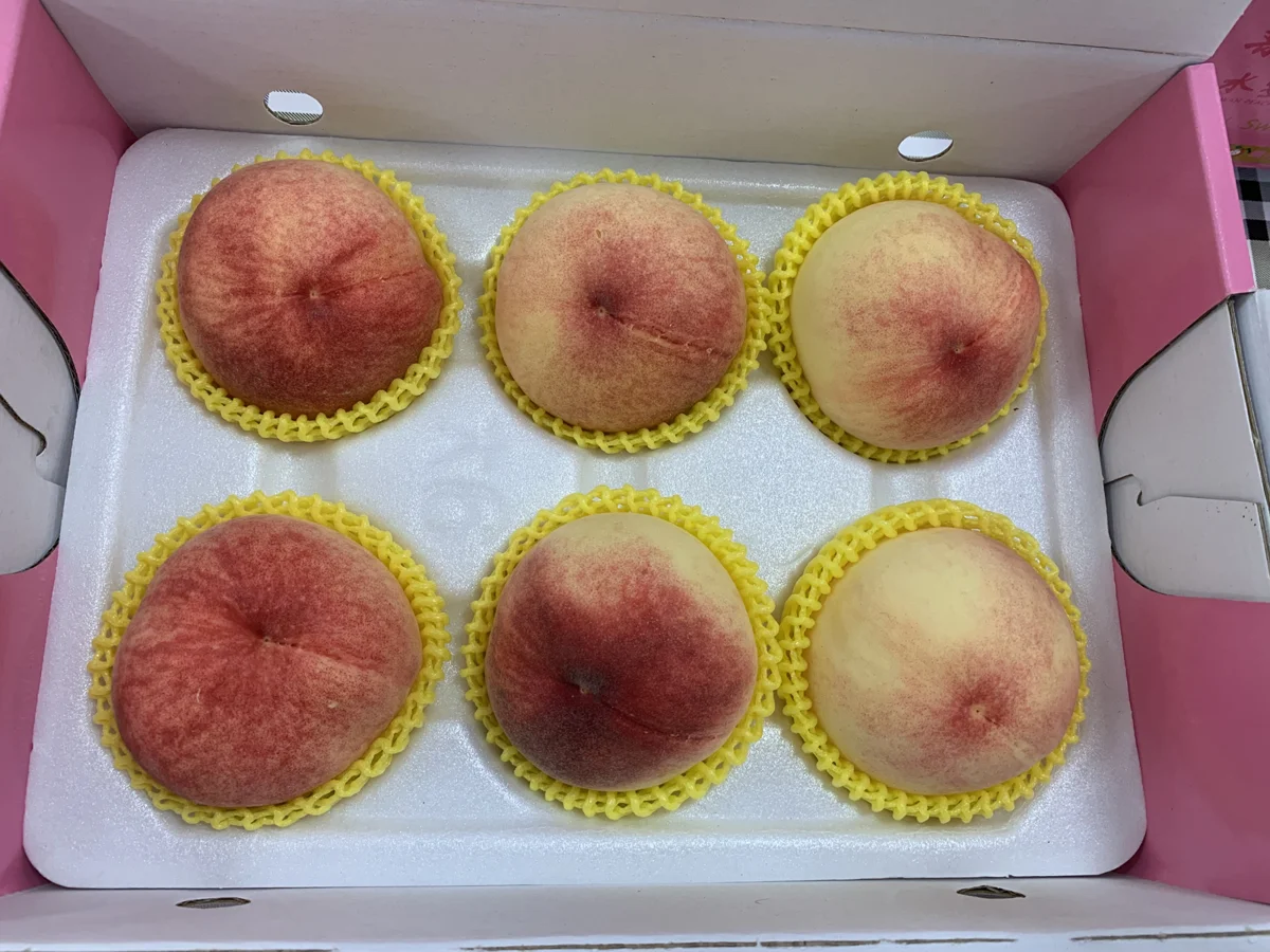 圖片來源:臺中市政府