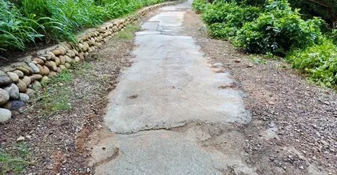 圖片來源：臺中市政府